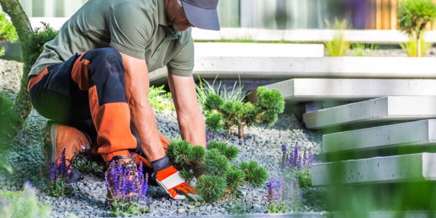 Landscaping,-Outdoor-Design-&-Maintenance